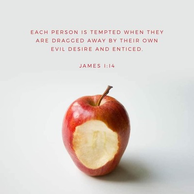 James 1:14